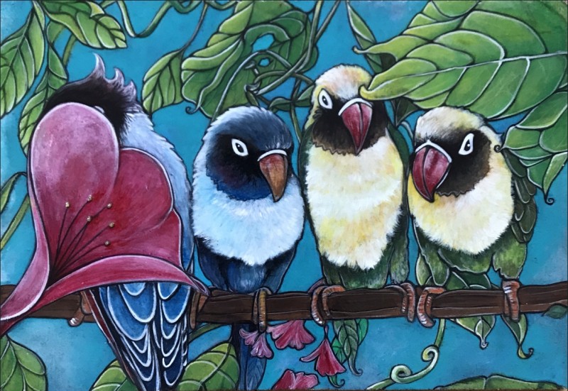 Fåglar,Papegoja,Färggrann