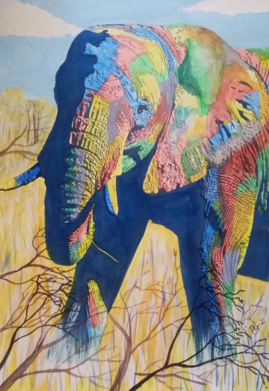 elefant,abstrakt,akvarell