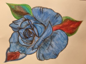 Blue Rose. ros,blomma,natur