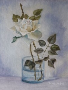Den vita rosen