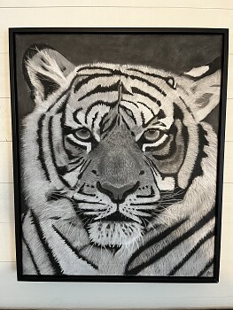 Svartvitt,Djur,Tiger. En tiger som jag målat